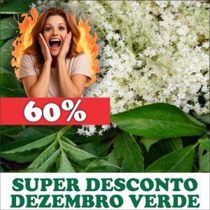 Sabugueiro - Sambucus nigra / Sambucus australis (flores secas)