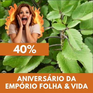Saião - Bryophyllum pinnatum (folhas secas)
