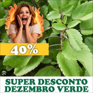 Saião - Bryophyllum pinnatum (folhas secas)