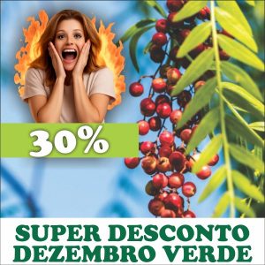 Aroeira-salsa - Schinus molle (folhas secas)