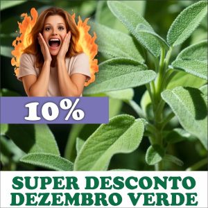 Sálvia - Salvia officinalis (folhas secas)