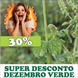 Sambacaitá - Hyptis pectinata (folhas secas)