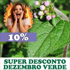 Erva-de-São-João / Mentrasto - Ageratum conyzoides (folhas secas)