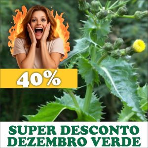 Serralha-brava - Sonchus asper (folhas secas)