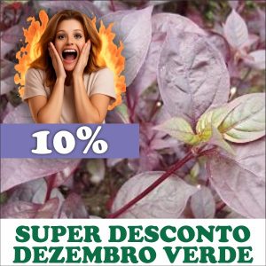 Terramicina - Anthernanthera brasiliana (folhas secas)