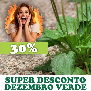 Trançagem - Plantago major (folhas secas)