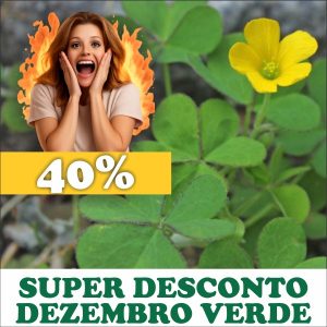 Trevinho-rasteiro - Oxalis corniculata (folhas secas)