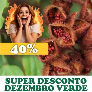 Urucum - Bixa ollerana (sementes)