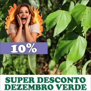 Pata-de-vaca (nativa) - Bauhinia forficata (folhas secas)