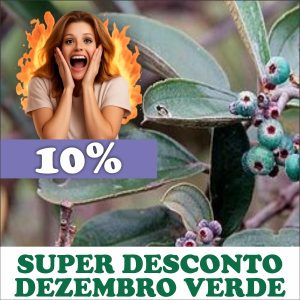 Canela-de-velho - Miconia albicans (folhas secas)