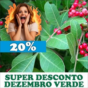 Aroeira-vermelha - Schinus terebinthifolius (folhas secas) 