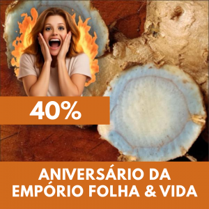 Zedoária - Curcuma zedoaria (rizoma seco)