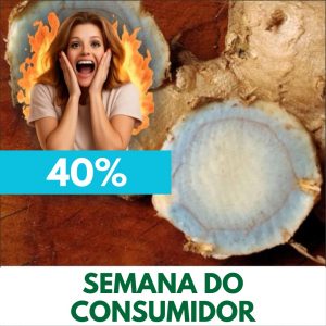 Zedoária - Curcuma zedoaria (rizoma seco)