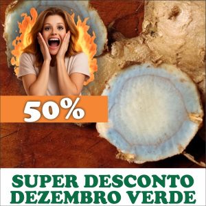 Zedoária - Curcuma zedoaria (rizoma seco)