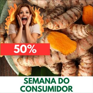 Açafrão-da-terra / Cúrcuma - Curcuma longa (rizoma seco)