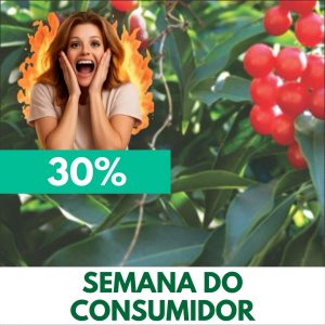 Café-de-bugre - Cordia ecalyculata (folhas secas)