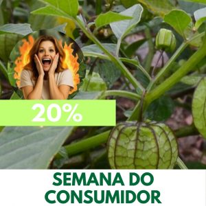 Camapú - Physalis angulata (folhas secas)