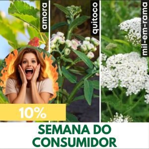 COMBO - Saúde da Mulher (Mil-em-rama, Amora e Quitoco)