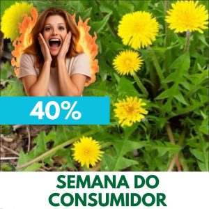 Dente-de-leão - Taraxacum officinale (folhas secas)