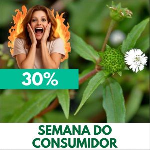 Erva-botão - Eclipta prostrata (folhas secas)