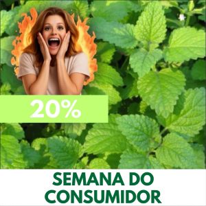 Erva-cidreira-verdadeira - Melissa officinalis (folhas secas)