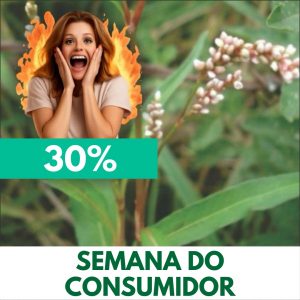 Erva-de-bicho - Polygonum hydropiperoides (folhas secas)