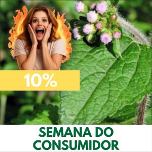 Erva-de-São-João / Mentrasto - Ageratum conyzoides (folhas secas)