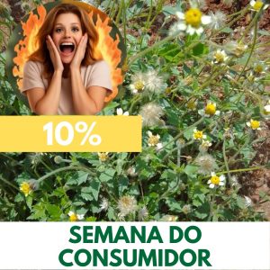 Erva-de-touro - Tridax procumbens (folhas secas)