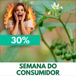 Erva-moura / Maria-pretinha - Solanum americanum / Solanum nigrum (folhas secas)