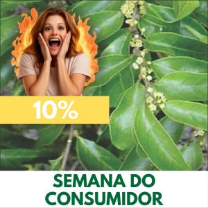 Espinheira-santa - Maytenus ilicifólia (folhas secas)