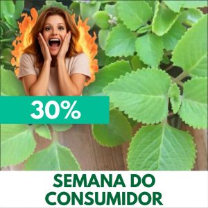 Hortelã gordo - Plectranthus amboinicus (folhas secas)