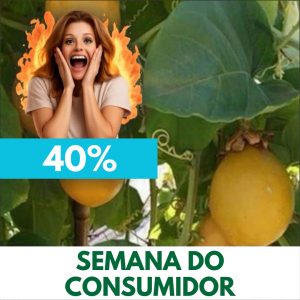 Maracujá - Passiflora alata (folhas secas)