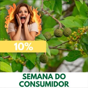 Mutamba - Guazuma ulmifolia (folhas secas)