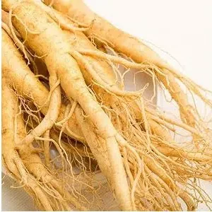 Ginseng Brasileiro - Pfaffia glomerata (raiz seca)