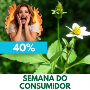 Picão-preto - Bidens alba / Bidens pilosa (folhas secas)