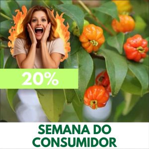 Pitanga - Eugenia uniflora (folhas secas)