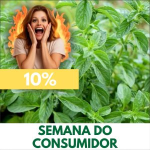 Poejo - Mentha pulegium (folhas secas)