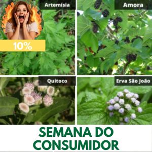 COMBO - Menopausa e Problemas Uterinos (Amora, Quitoco, Artemísia e Erva-de-São-João)