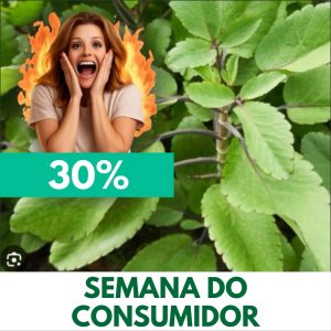 Saião - Bryophyllum pinnatum (folhas secas)