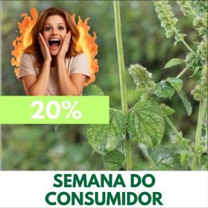 Sambacaitá - Hyptis pectinata (folhas secas)