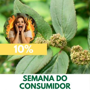 Erva-de-Santa-Luzia - Euphorbia hirta (folhas secas)