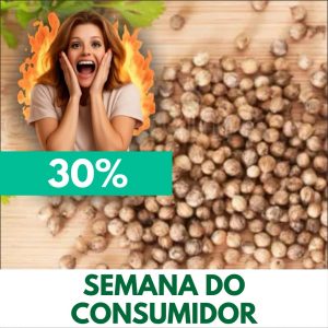 Semente de Coentro - Coriandrum sativum