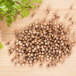 Semente de Coentro - Coriandrum sativum