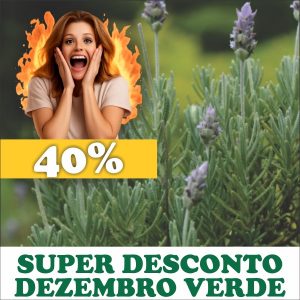 Alfazema  - Lavandula officinalis (folhas secas)