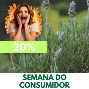 Alfazema  - Lavandula officinalis (folhas secas)