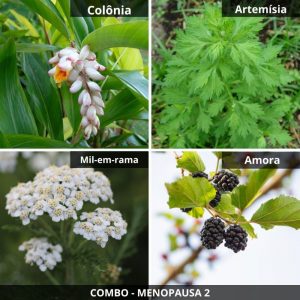 COMBO - Menopausa 2 (Amora, Mil-em-rama, Artemísia e Colônia)