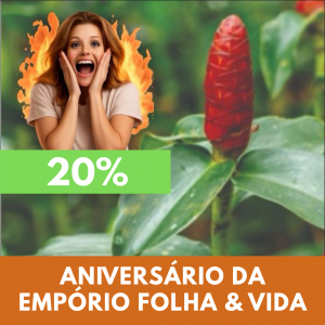 Cana-do-brejo - Costus spicatus (folhas secas)