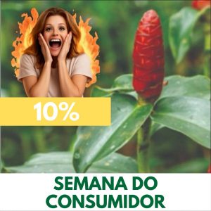 Cana-do-brejo - Costus spicatus (folhas secas)