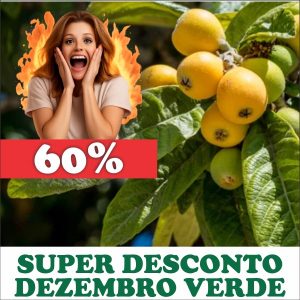 Nêspera - Eriobotrya japonica (folhas secas)