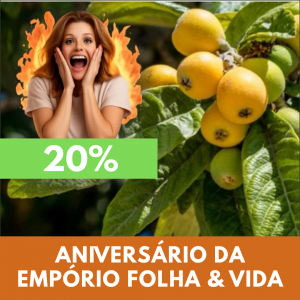 Nêspera - Eriobotrya japonica (folhas secas)